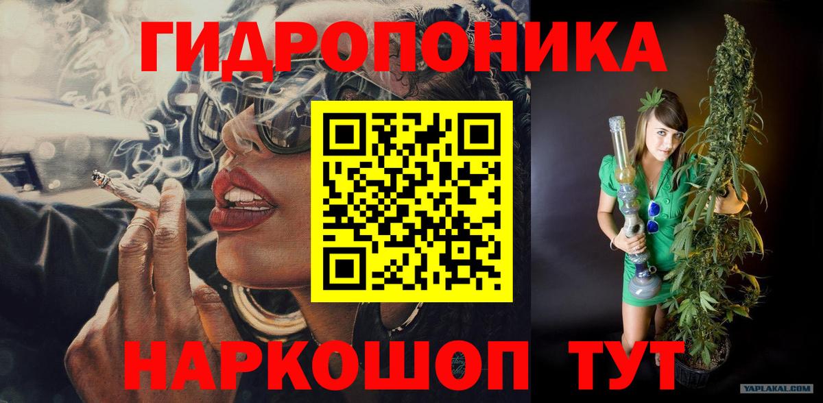 Бошки марихуана гибрид Лосино-Петровский